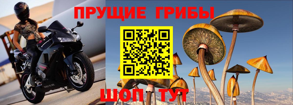 Псилоцибиновые грибы ЛСД  Вход с VPN  цена   Барнаул  Галлюциногенные грибы мицелий 
