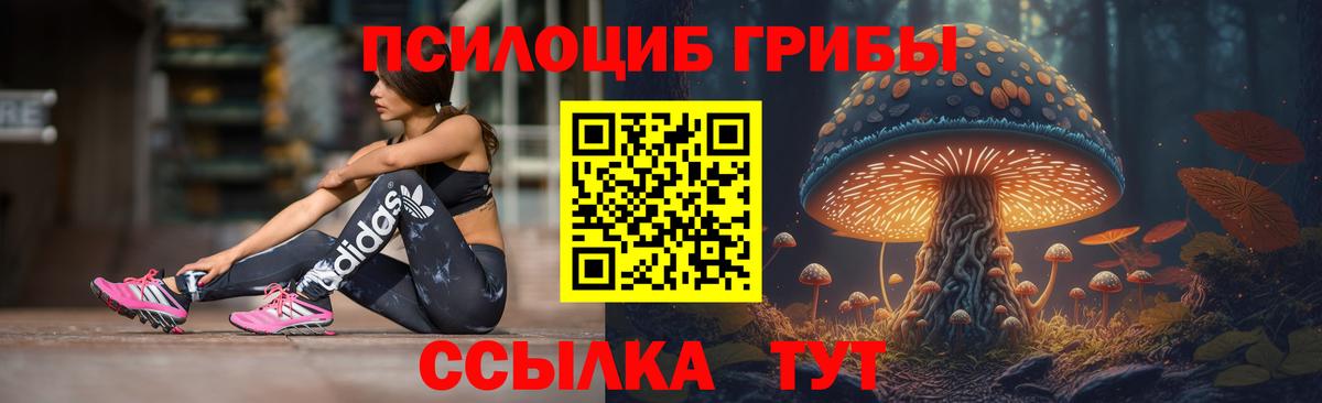 Галлюциногенные грибы GOLDEN TEACHER Барнаул